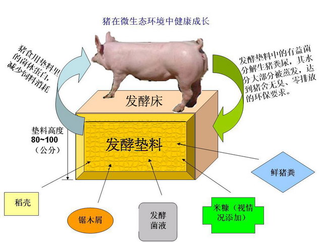 發酵床示意圖